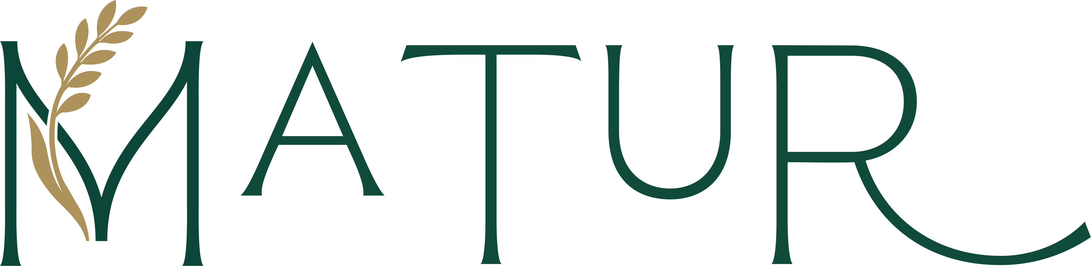 Logo Matur